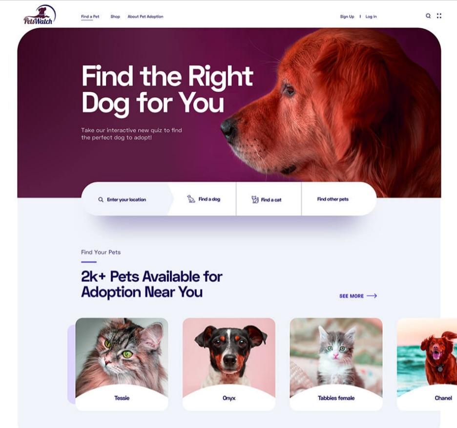 Pet Adoption Quiz & Supplies