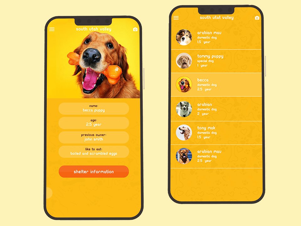 Pet Profile: Becca Puppy Details